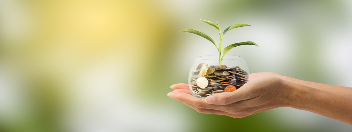 L'innovazione è stata potenziata fino ad arrivare ad una società iper-digitalizzata. Come si può comunicare in modo efficace guadagnando?