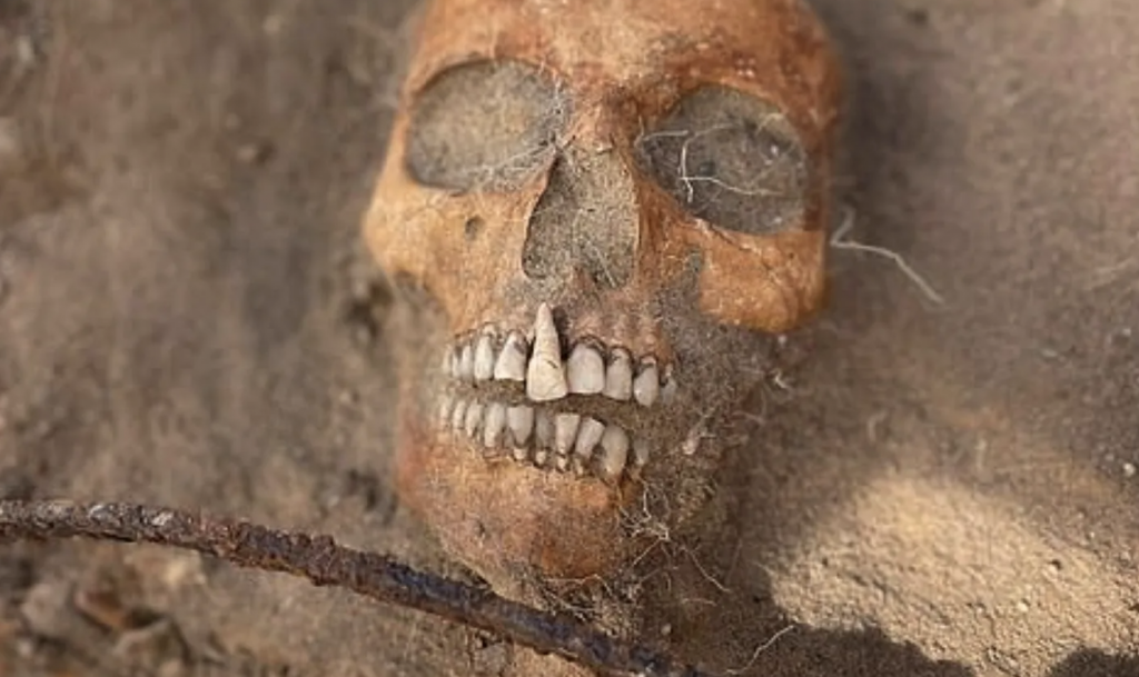 Donna vampiro ritrovata in Polonia. Un gruppo di scienziati avrebbe scoperto uno scheletro con una falce sul collo e un lucchetto all’alluce