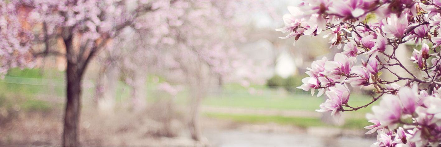 primavera