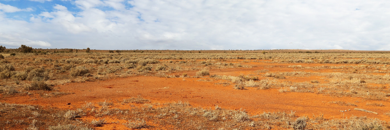 Lei è Robyn Davidson ed è la donna che nel 1977 ha attraversato il deserto australiano da Alice Springs fino all’Oceano Indiano. ; Robyn Davidson; Francesca Bazzoni