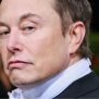 Elon Musk sfida ChatGPT. Il miliardario sarebbe a caccia di investimenti per una nuova start up in grado di sfidare ChatGPT