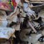 La Bottega Gatti di Faenza colpita dall'alluvione, La sua collezione di libri d'artista, è stata completamente distrutta