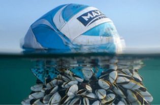 Il pallone e i crostacei: foto vincitrice dei British Wildlife Photography Awards è il simbolo della resistenza della natura all'inquinamento
