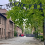 Cosa resta di Auschwitz oggi?