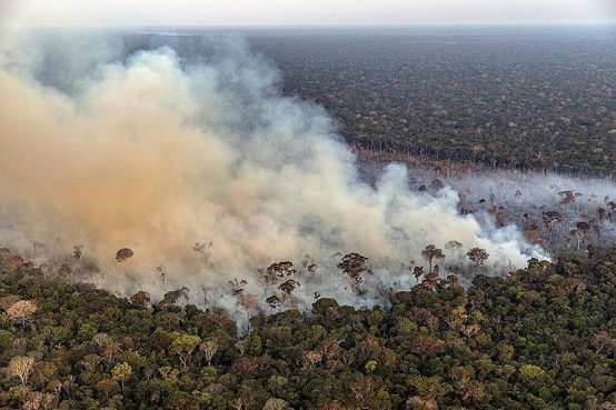 L'Amazzonia è in fiamme. A causa di siccità e deforestazione, da vent'anni la foresta non bruciava come nei primi mesi del 2024.