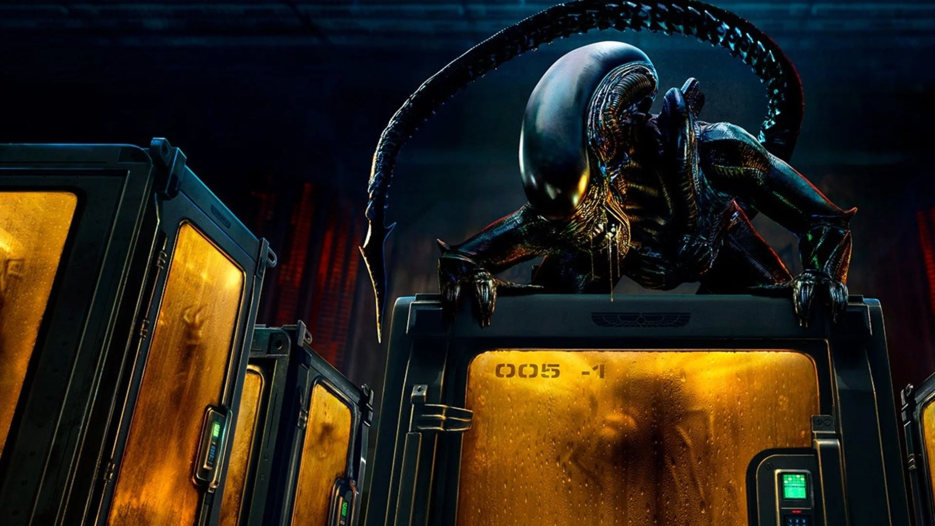 Alien: Earth – Un capitolo degno dell’originale cult di Ridley Scott. La serie soddisfa tutti, senza mai cedere a trovate artificiose